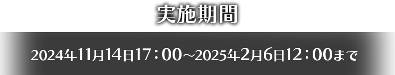 実施期間は2024年11月14日17:00～2025年2月6日12:00まで
まで